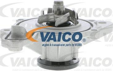 VAICO V30-50055 - Ūdenssūknis www.autospares.lv