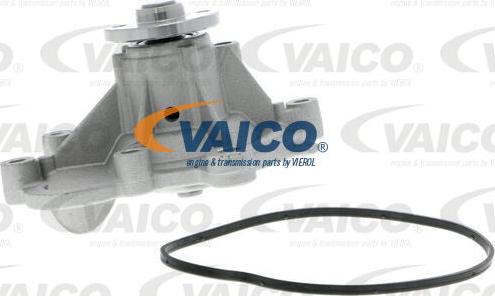 VAICO V30-50053 - Ūdenssūknis autospares.lv