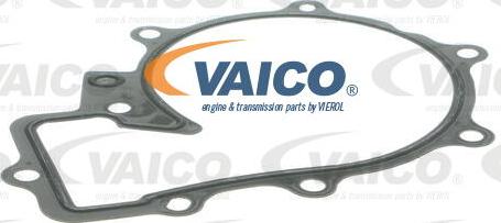 VAICO V30-50081 - Ūdenssūknis www.autospares.lv