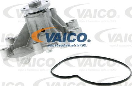 VAICO V30-50088 - Ūdenssūknis autospares.lv