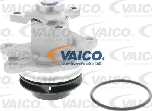 VAICO V30-50025 - Ūdenssūknis www.autospares.lv