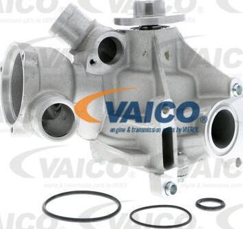 VAICO V30-50020 - Ūdenssūknis autospares.lv