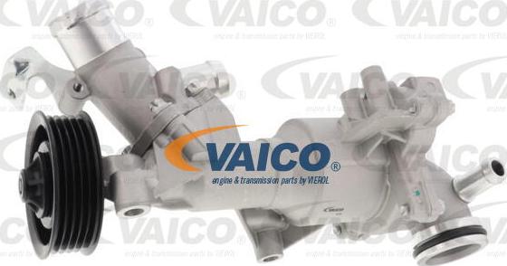 VAICO V30-50104 - Ūdenssūknis www.autospares.lv