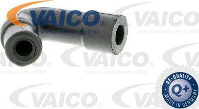 VAICO V30-0899 - Šļūtene, Kartera ventilācija www.autospares.lv