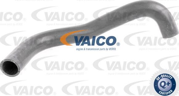 VAICO V30-0251 - Radiatora cauruļvads www.autospares.lv