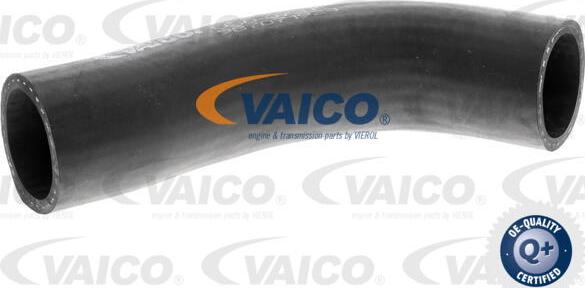 VAICO V30-0737 - Radiatora cauruļvads www.autospares.lv