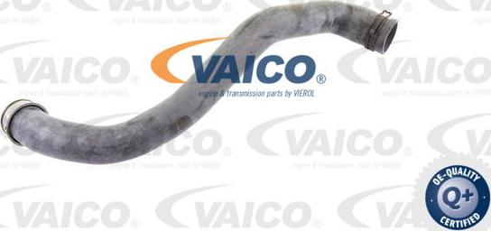 VAICO V30-1913 - Radiatora cauruļvads www.autospares.lv