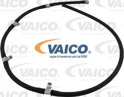 VAICO V30-1442 - Šļūtene, Degvielas noplūde www.autospares.lv