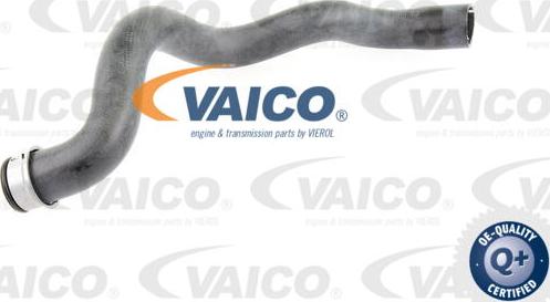 VAICO V30-1663 - Radiatora cauruļvads www.autospares.lv