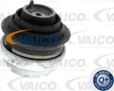 VAICO V30-1113-1 - Piekare, Dzinējs autospares.lv