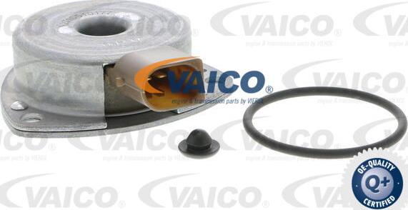 VAICO V30-1136 - Centrālais magnēts, Sadales vārpstas regulēšana www.autospares.lv