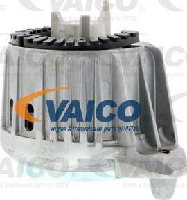 VAICO V30-1859 - Piekare, Dzinējs www.autospares.lv