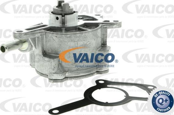 VAICO V30-8355 - Vakuumsūknis, Bremžu sistēma www.autospares.lv