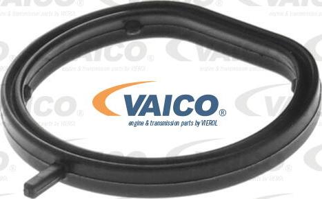 VAICO V30-3679 - Savienotājcaurule, Dzes. sistēmas cauruļvads www.autospares.lv