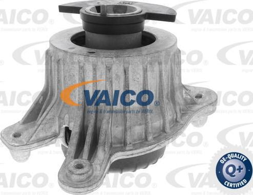 VAICO V30-3099 - Piekare, Dzinējs www.autospares.lv