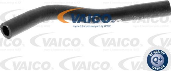 VAICO V30-3146 - Radiatora cauruļvads www.autospares.lv