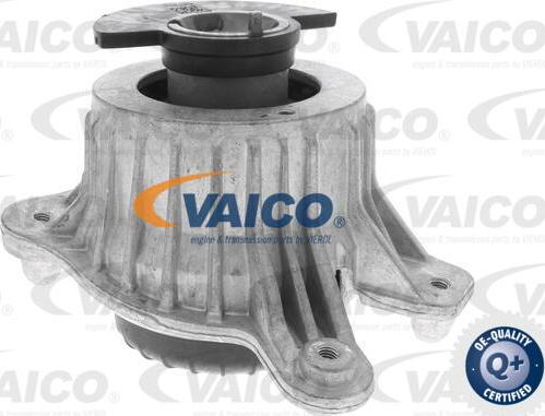 VAICO V30-3100 - Piekare, Dzinējs www.autospares.lv