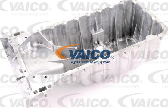 VAICO V30-3177 - Eļļas vācele www.autospares.lv