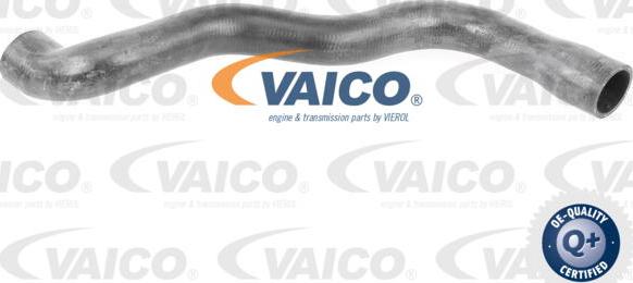 VAICO V30-2915 - Radiatora cauruļvads www.autospares.lv