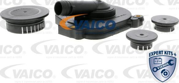 VAICO V30-2525 - Remkomplekts, Kartera ventilācija www.autospares.lv