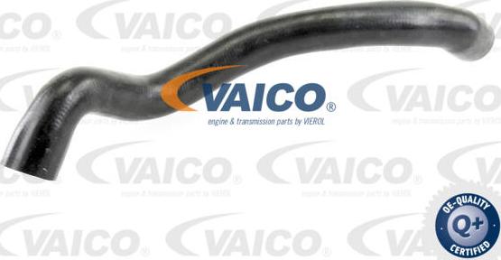 VAICO V30-2686 - Radiatora cauruļvads www.autospares.lv