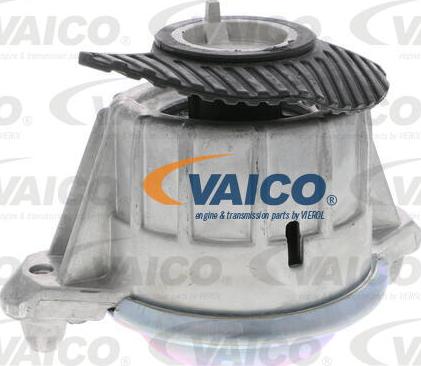 VAICO V30-2199 - Piekare, Dzinējs www.autospares.lv