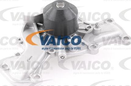 VAICO V33-50004 - Ūdenssūknis www.autospares.lv