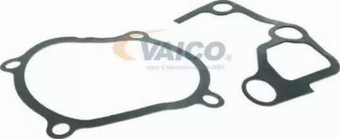 VAICO V32-50008 - Ūdenssūknis www.autospares.lv