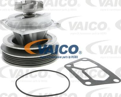 VAICO V24-50009 - Ūdenssūknis www.autospares.lv