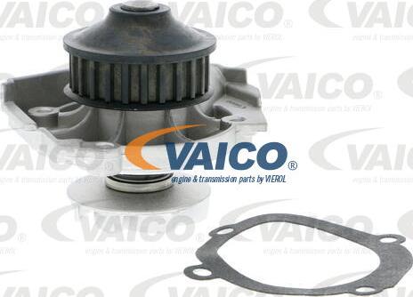 VAICO V24-50002 - Ūdenssūknis www.autospares.lv