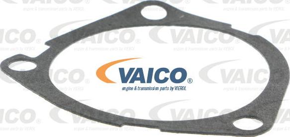 VAICO V24-50019 - Ūdenssūknis www.autospares.lv