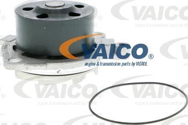 VAICO V24-50016 - Ūdenssūknis autospares.lv