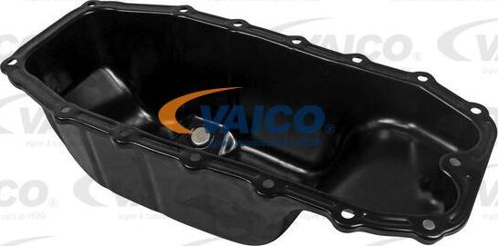 VAICO V24-6006 - Eļļas vācele www.autospares.lv