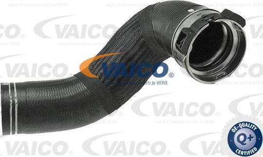 VAICO V24-0686 - Pūtes sistēmas gaisa caurule www.autospares.lv