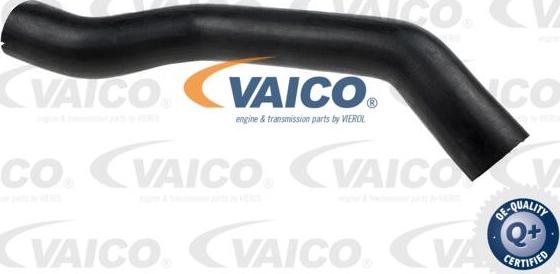 VAICO V24-0680 - Pūtes sistēmas gaisa caurule www.autospares.lv