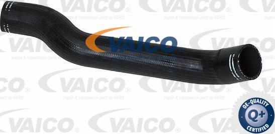 VAICO V24-0682 - Pūtes sistēmas gaisa caurule www.autospares.lv