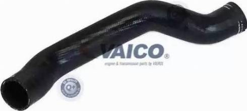 VAICO V24-0687 - Pūtes sistēmas gaisa caurule www.autospares.lv