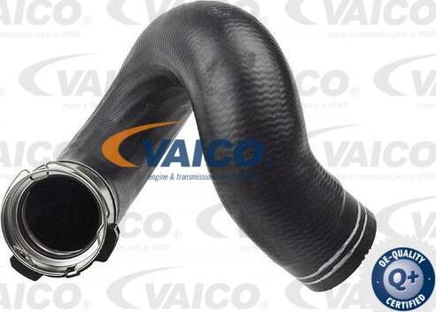 VAICO V24-0674 - Pūtes sistēmas gaisa caurule www.autospares.lv