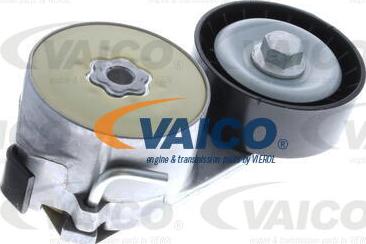 VAICO V24-0141 - Parazīt / Vadrullītis, Ķīļrievu siksna autospares.lv