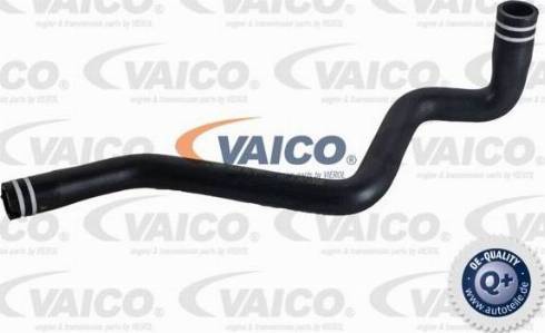 VAICO V24-0841 - Šļūtene, Kartera ventilācija www.autospares.lv