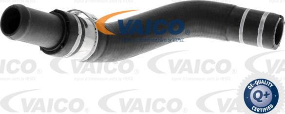 VAICO V24-0805 - Radiatora cauruļvads www.autospares.lv