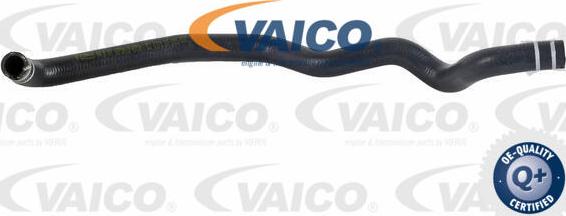 VAICO V24-0825 - Radiatora cauruļvads www.autospares.lv