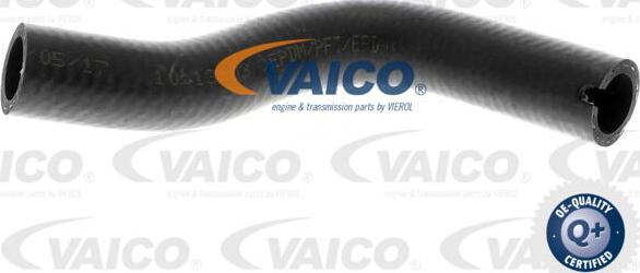 VAICO V24-0726 - Pūtes sistēmas gaisa caurule www.autospares.lv