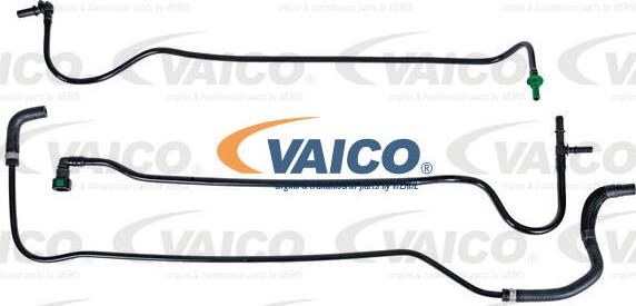 VAICO V24-1060 - Degvielas vads www.autospares.lv