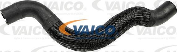 VAICO V24-1164 - Radiatora cauruļvads www.autospares.lv