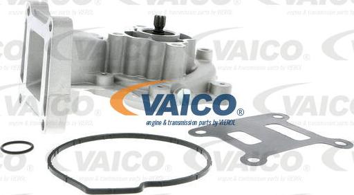 VAICO V25-50014 - Ūdenssūknis www.autospares.lv