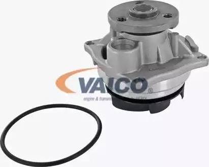 VAICO V25-50011-1 - Ūdenssūknis www.autospares.lv