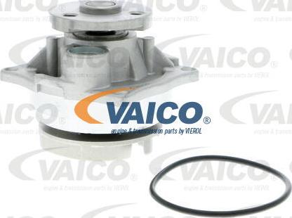 VAICO V25-50011 - Ūdenssūknis www.autospares.lv