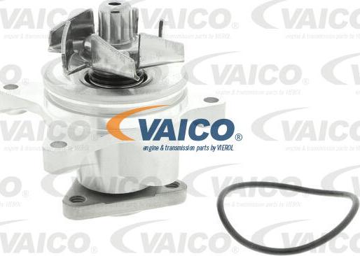 VAICO V25-50013 - Ūdenssūknis www.autospares.lv