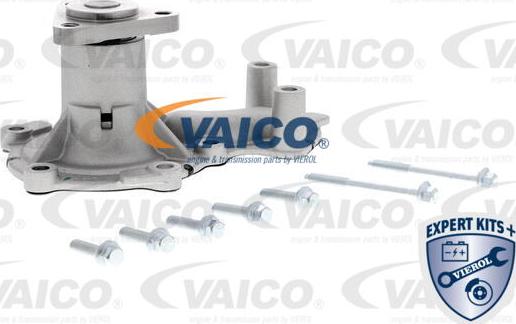 VAICO V25-50029 - Ūdenssūknis www.autospares.lv